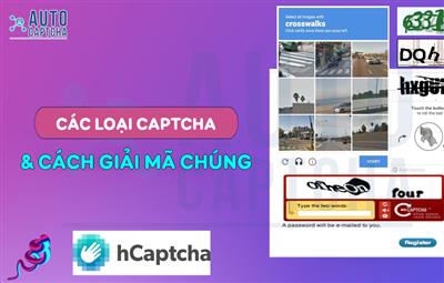 Các Loại Captcha và Cách Giải Mã Chúng