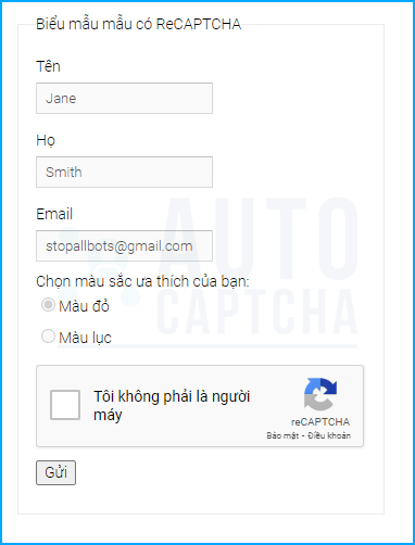 demo lấy website key AutoCaptcha