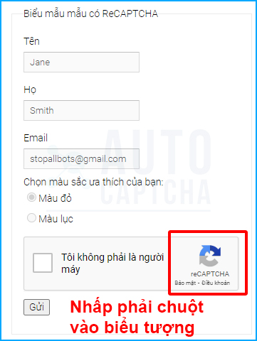 biểu tượng recaptcha v2