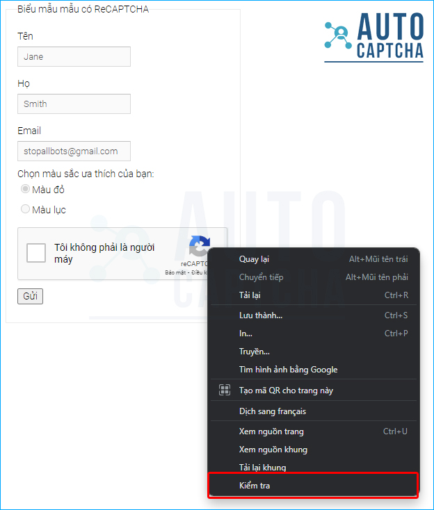 giải mã recaptcha v2