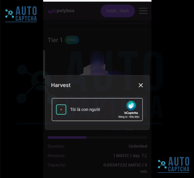 Giải hCaptcha trên polybox.finance