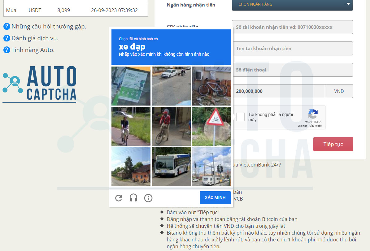 Dịch vụ giải Recaptcha v2