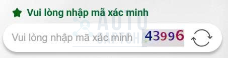 Giải captcha Text nhanh